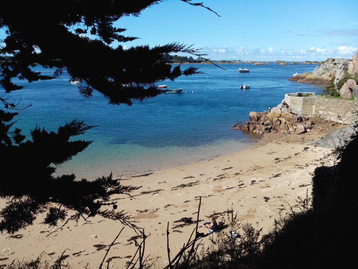 Gite De La Marina Dans La Presqu'Ile De Lezardrieux Luaran gambar