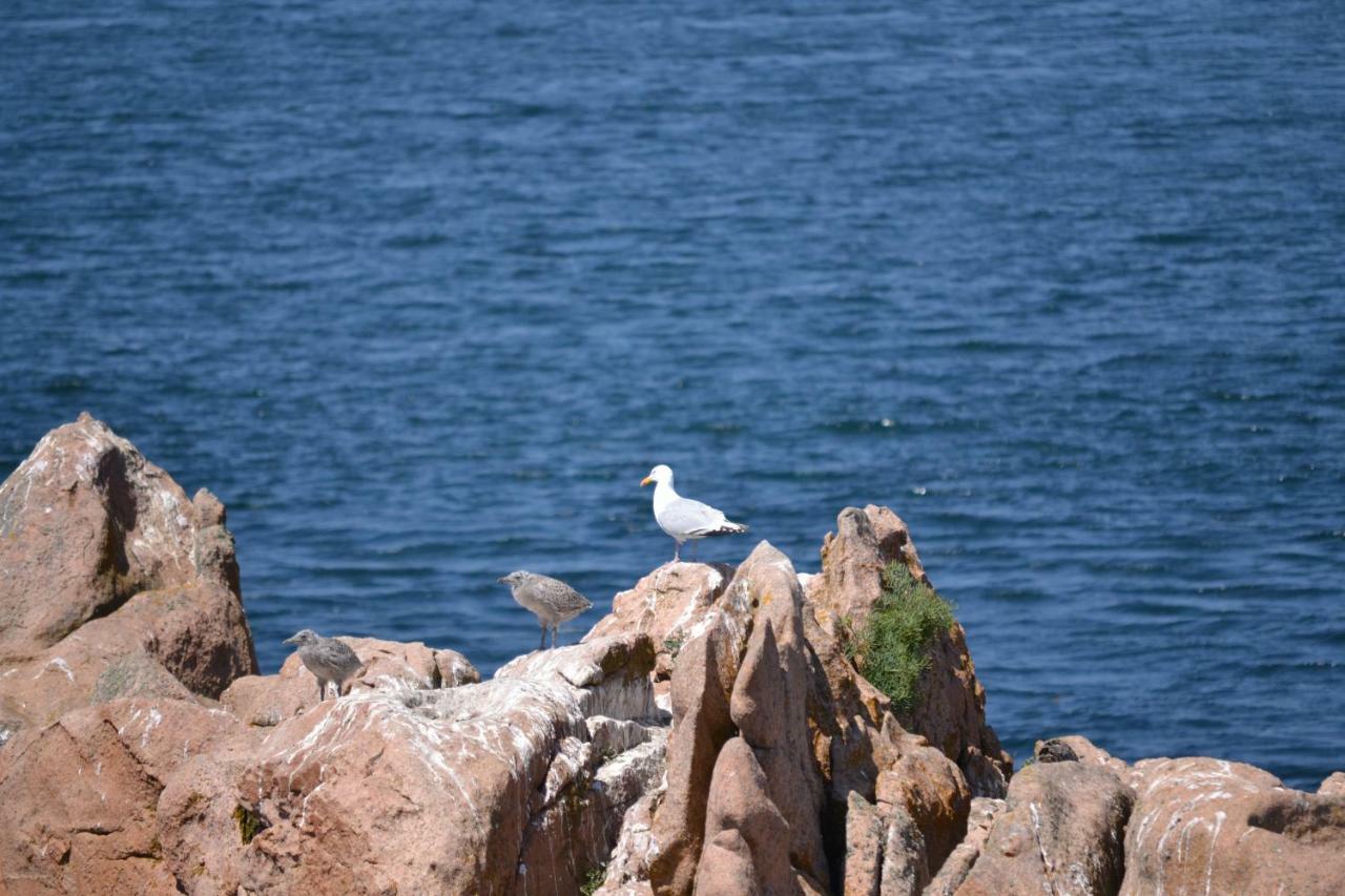 Gite De La Marina Dans La Presqu'Ile De Lezardrieux Luaran gambar
